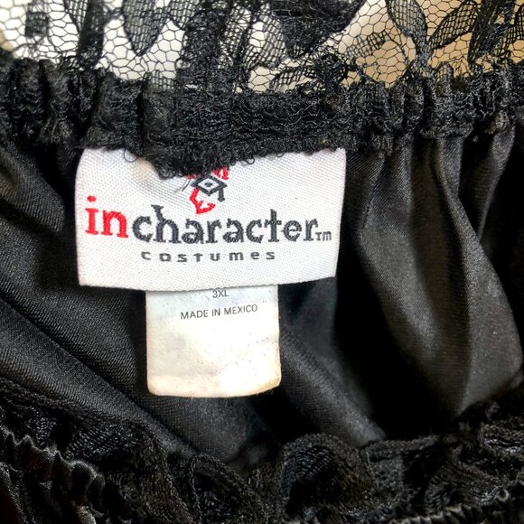 In Character Pirate Lady Costume Plus Size Halloween - Picture 10 of 15